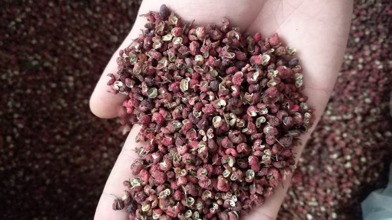 【包邮】花椒批发陕西韩城大红袍花椒直供商超食品厂调味店