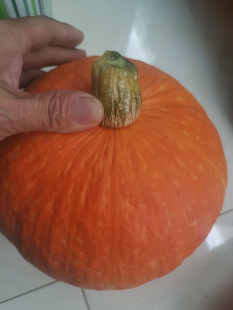 板栗，银栗，红南瓜，贝贝南瓜