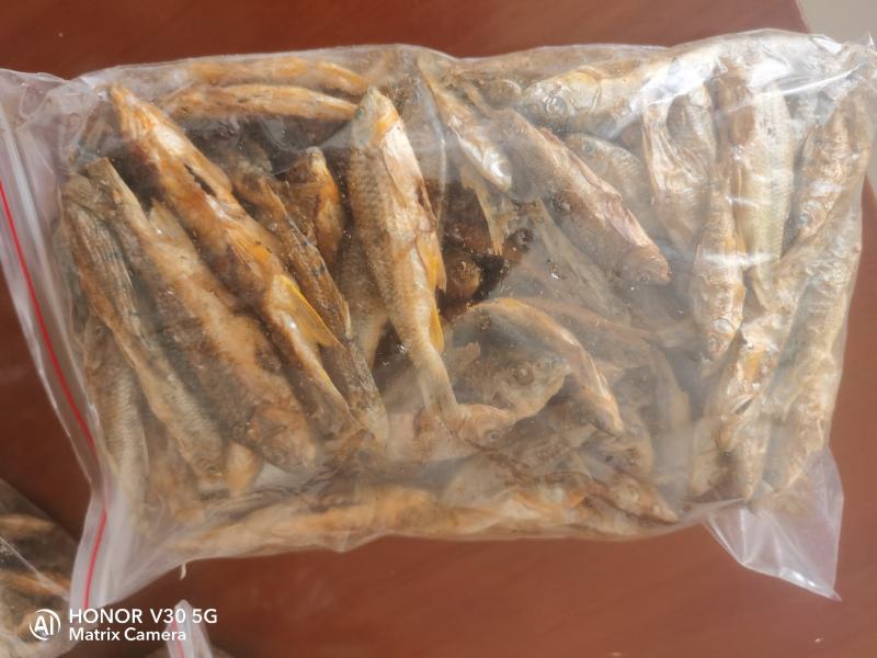江西赣州南康石斑鱼鱼干碳烤鱼干长期有货，要的老板看过来