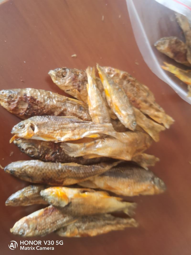 江西赣州南康石斑鱼鱼干碳烤鱼干长期有货，要的老板看过来