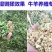 【欢迎来电咨询】2.5吨4.5吨6.5吨立式铡草揉丝机。