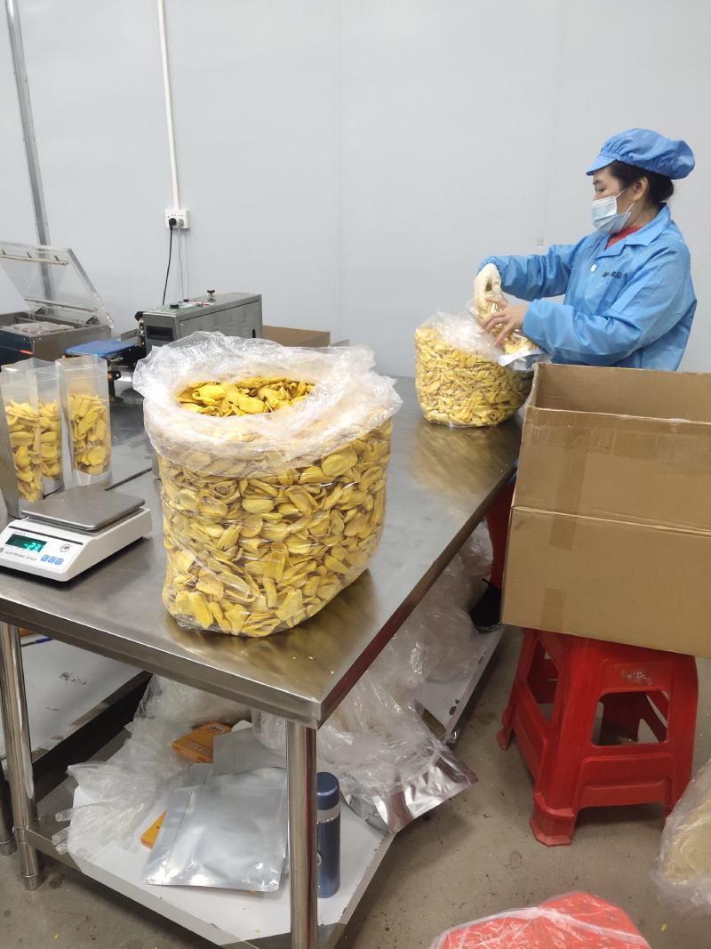 菠萝蜜干A+级别高品质口碑产品全年上新无陈货
