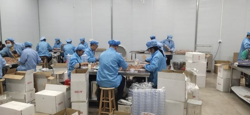 越南腰果扁盒腰果虎皮腰果A180特大盐焗腰果