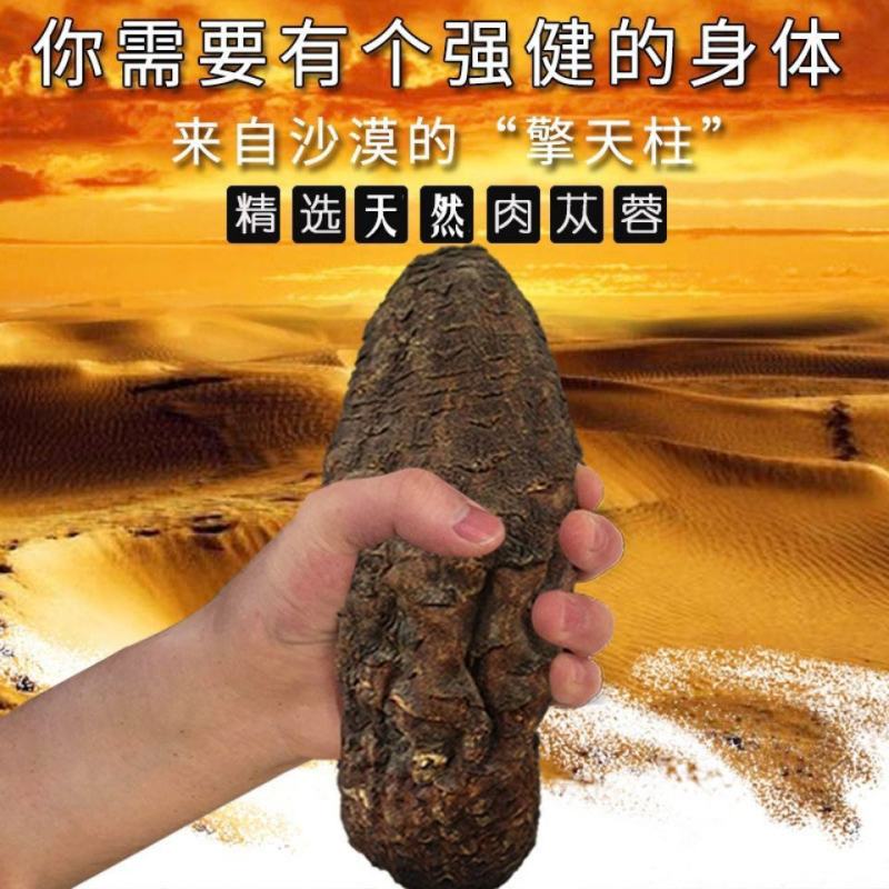 锁阳锁阳中药材锁阳特级正品锁阳片锁阳野生金锁阳锁阳整根