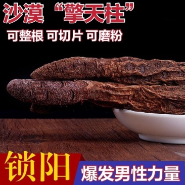 锁阳锁阳中药材锁阳特级正品锁阳片锁阳野生金锁阳锁阳整根