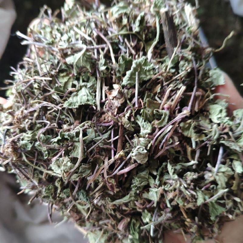 积雪草落得打崩大碗铜钱草马蹄草雷公根筛选袋装中药