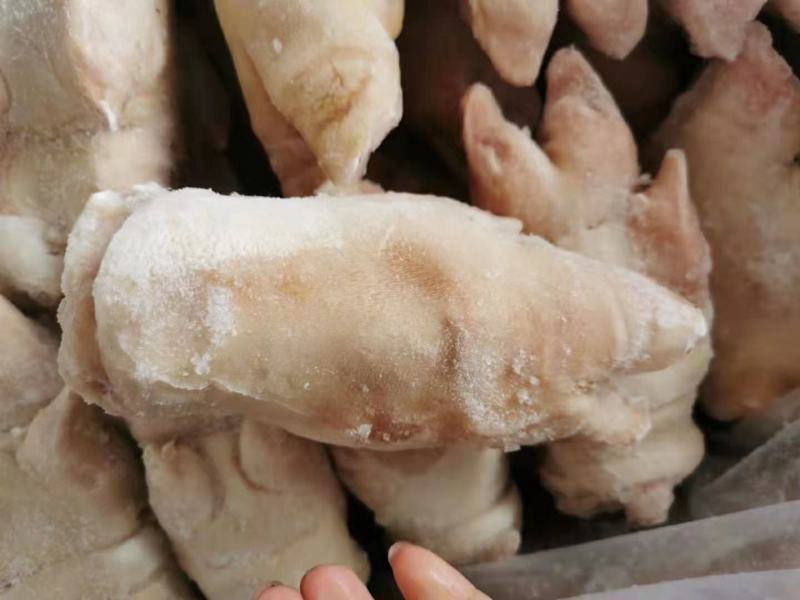 纯猪手24个左右，
