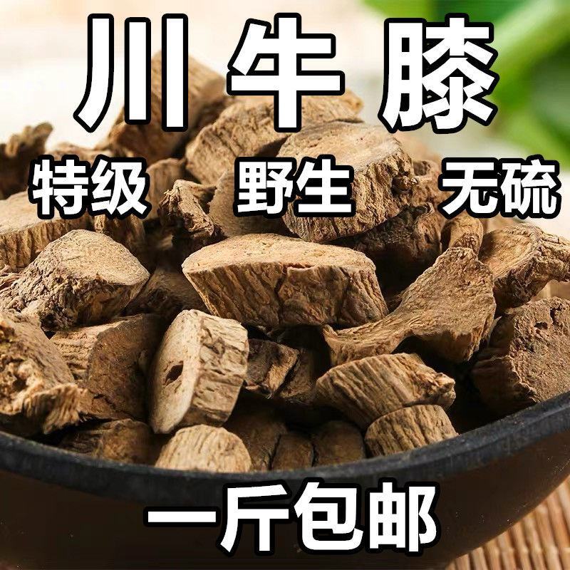 川牛膝中药材川牛膝牛夕土牛膝麻牛膝川牛漆川牛