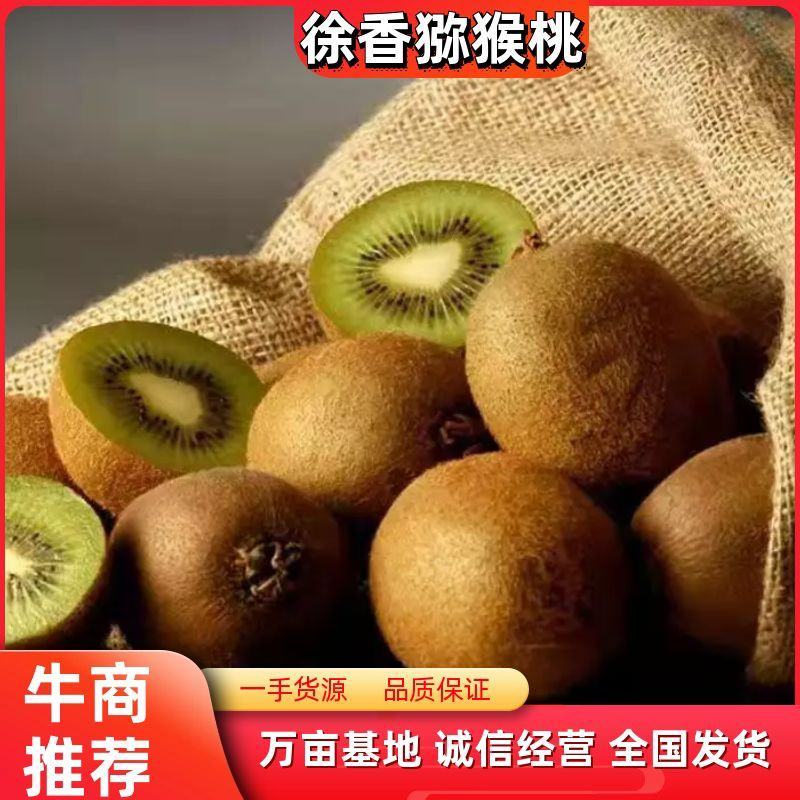 徐香猕猴桃陕西猕猴桃一手货源产地直发一件代发全国包邮