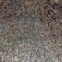 大包羊粪纯羊粪纯干羊粪发货要的可以联系我就行