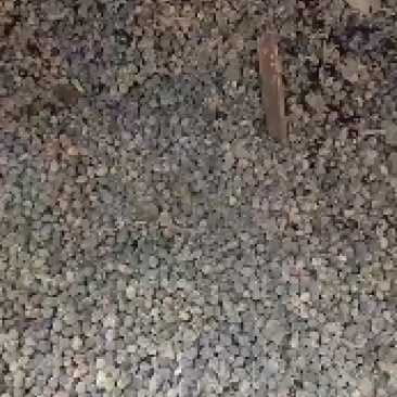 大包羊粪纯羊粪纯干羊粪发货要的可以联系我就行