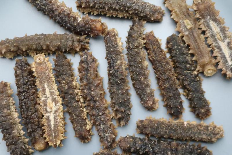AA精选30头淡干印尼黑刺王淡干货8倍泡发率带刺海参