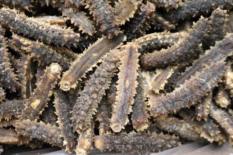 AA精选30头淡干印尼黑刺王淡干货8倍泡发率带刺海参