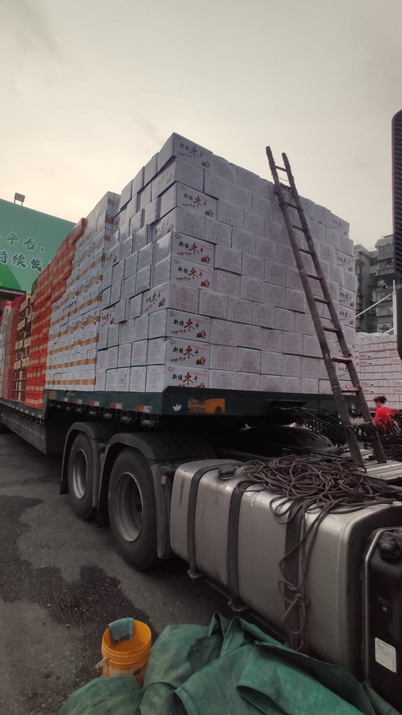 包装靓中枣干枣片枣肉干休闲零食无深加工香甜脆
