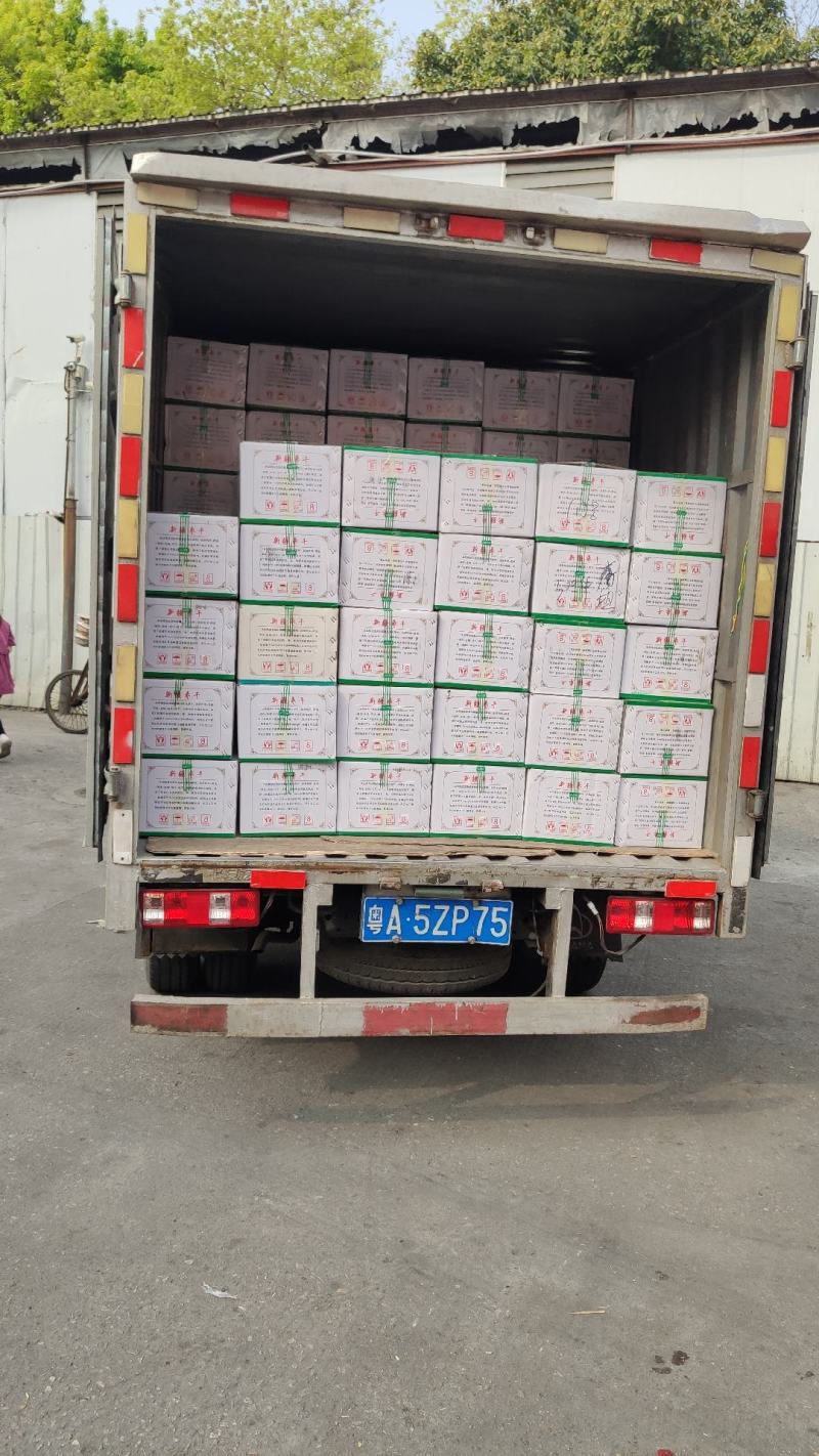 包装靓中枣干枣片枣肉干休闲零食无深加工香甜脆