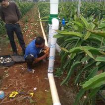 自动化灌溉阀