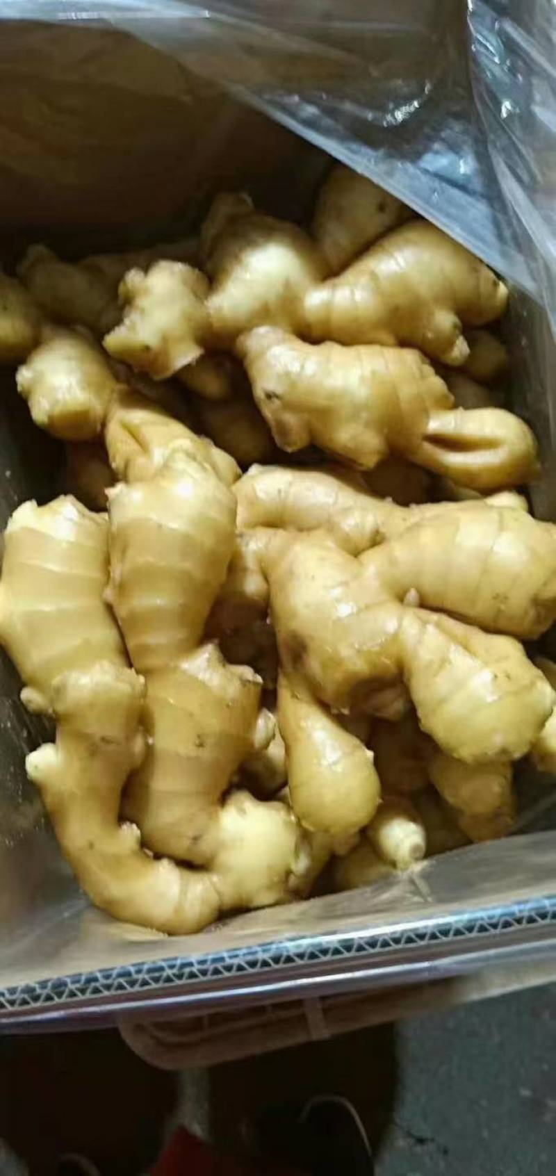 山东产地优质大黄姜，供市场，点商，食堂，支持全国发货。