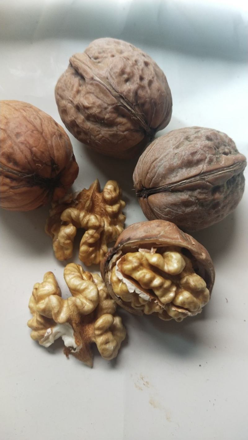 新鲜纸皮核桃