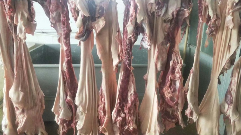 纯干带皮羊肉精修去油前后腿肉质量保障价格低可视频看货