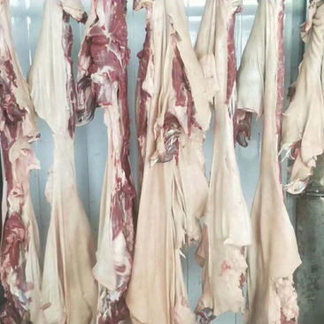 纯干带皮羊肉精修去油前后腿肉质量保障价格低可视频看货