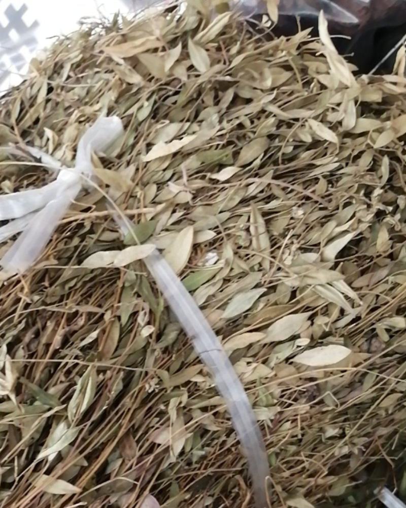 瓜子金贵州地产中药材，全株瓜子金，齐手漂亮