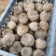 花魔芋豆腐魔芋500克到1500克无破损的，供应全国