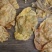 10头开边赤鱼胶鱼胶花胶批发原色货泡发率高