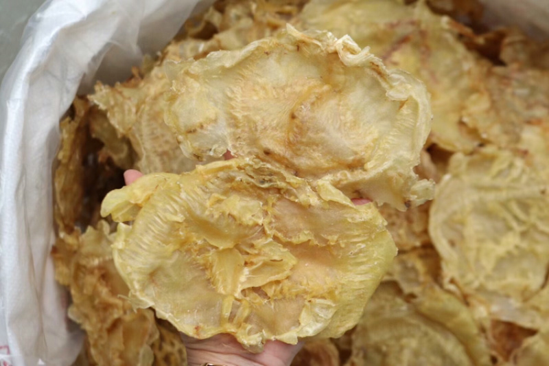 10头开边赤鱼胶鱼胶花胶批发原色货泡发率高