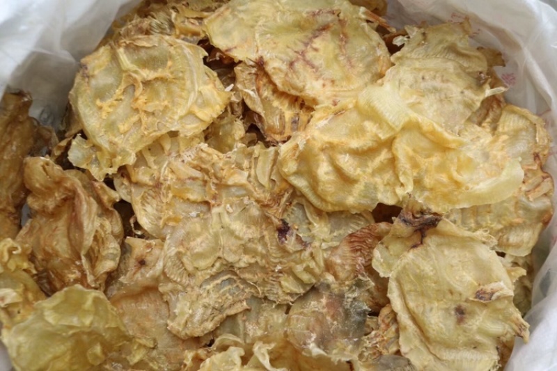 10头开边赤鱼胶鱼胶花胶批发原色货泡发率高
