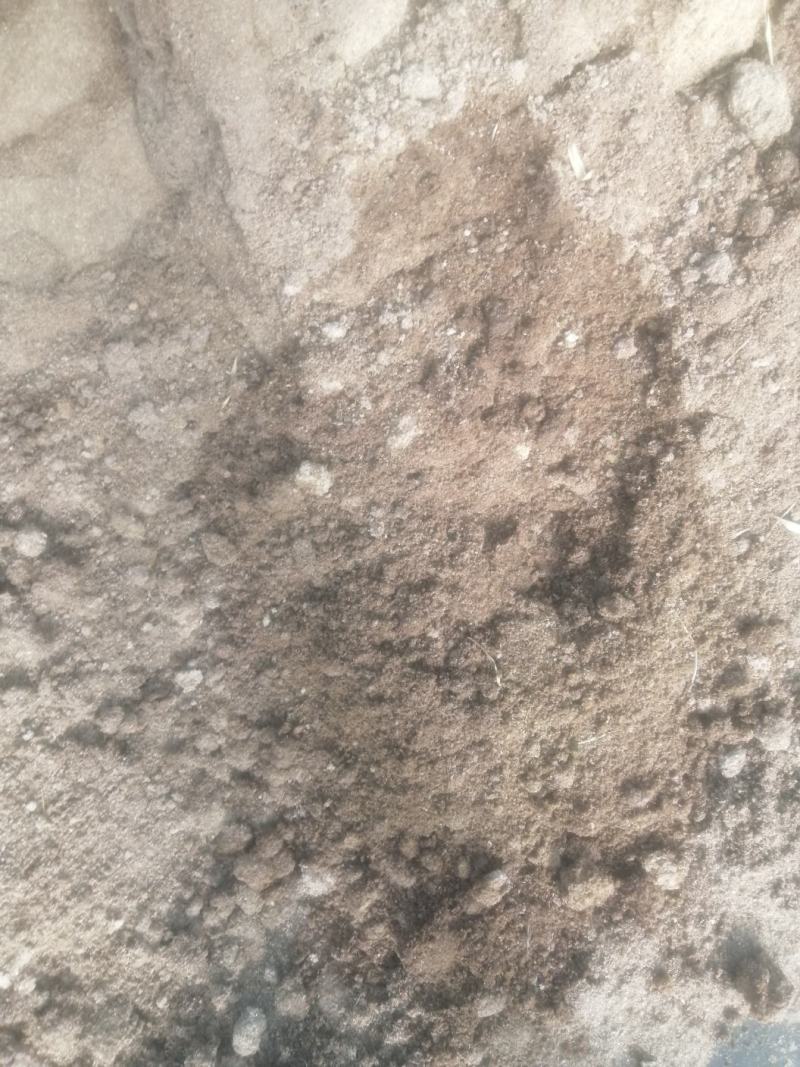 发酵干猪粪需要的联系，适用各种瓜果蔬菜质量保证，