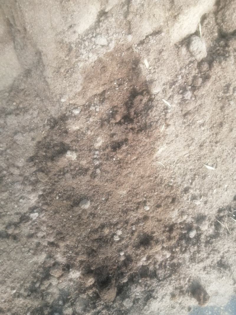 发酵干猪粪需要的联系，适用各种瓜果蔬菜质量保证，
