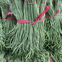 【精品】豇豆长豆角产地直供大量供应商超市场电商