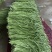 【精品】豇豆长豆角产地直供大量供应商超市场电商