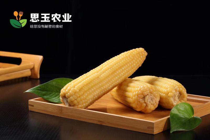 真空包装黄糯玉米一件代发电商糯玉米黑糯玉米白糯玉米