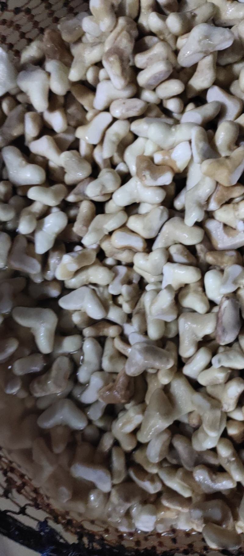 南漪湖小菱角米