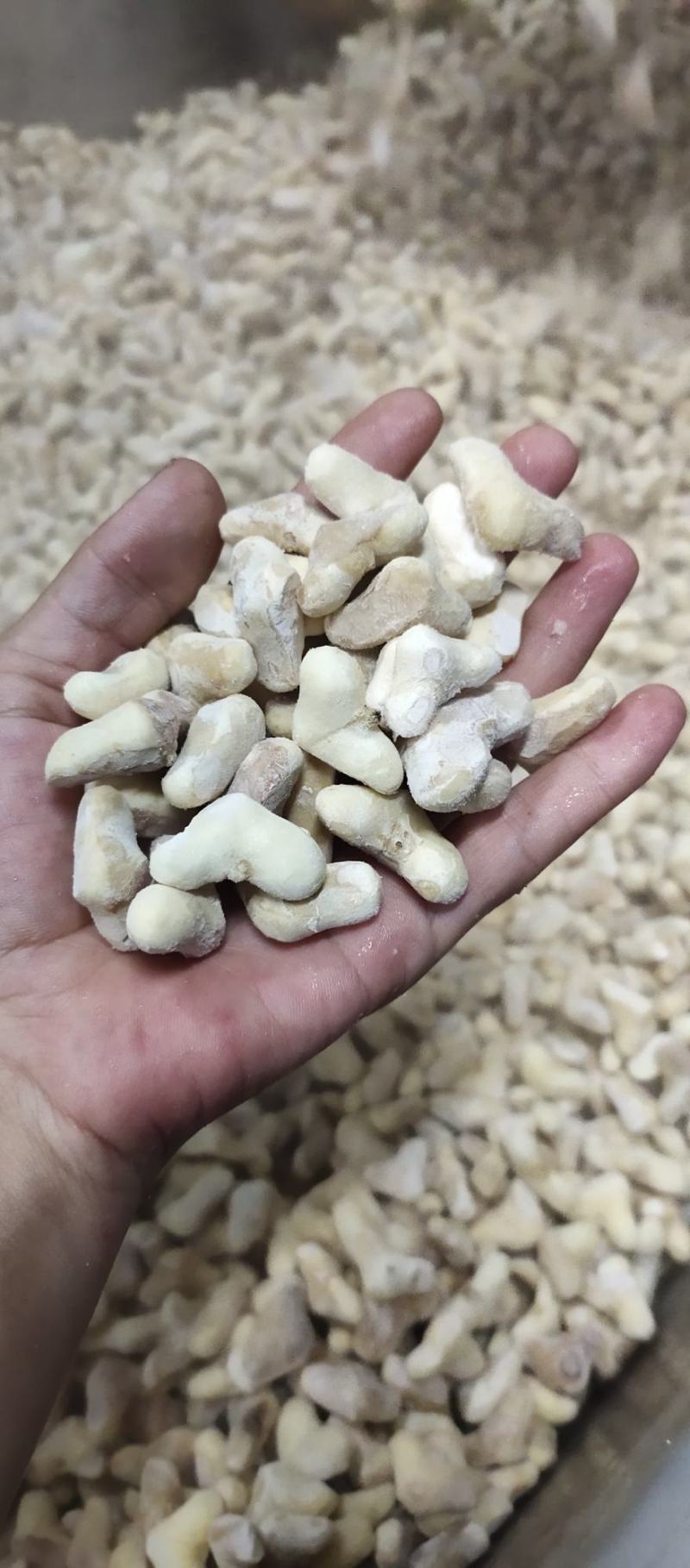 南漪湖小菱角米