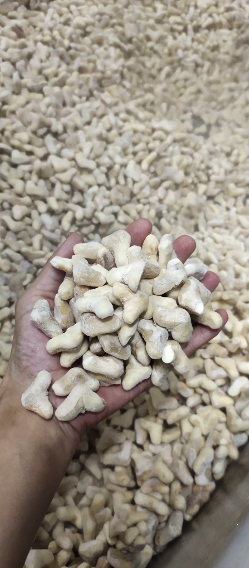 南漪湖小菱角米