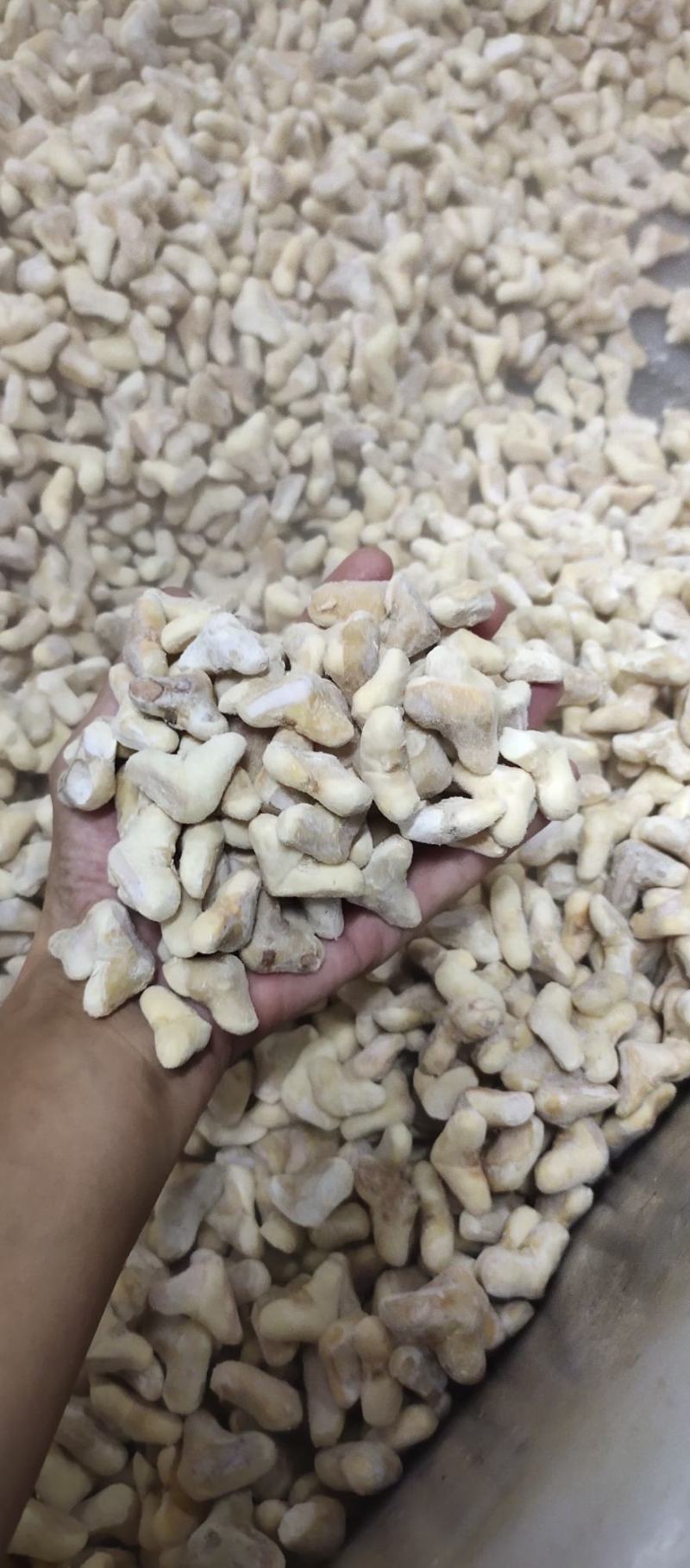 南漪湖小菱角米