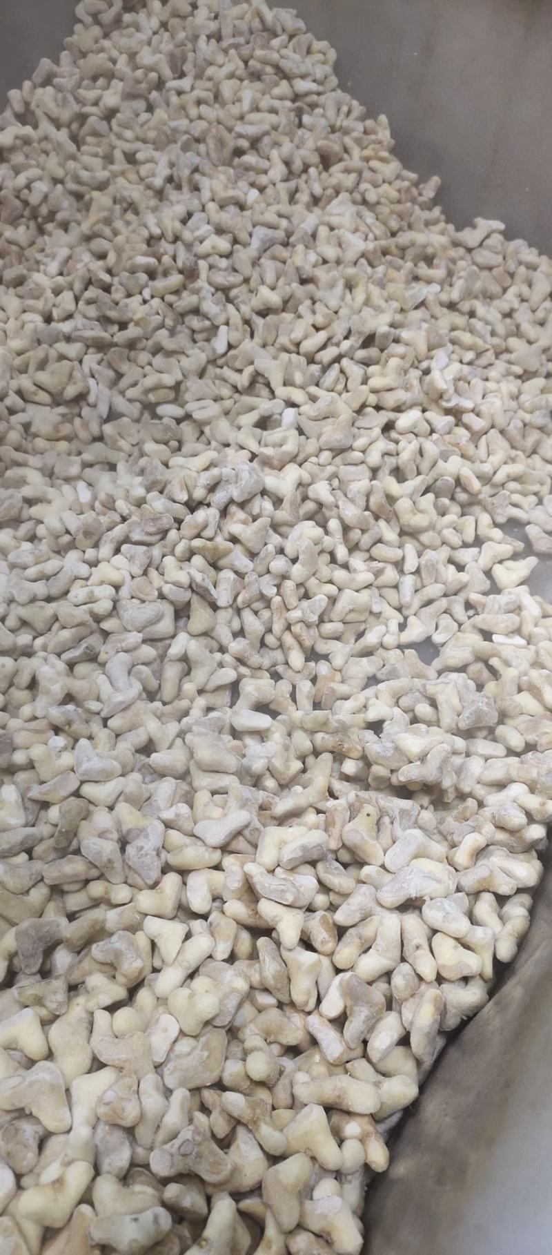 南漪湖小菱角米