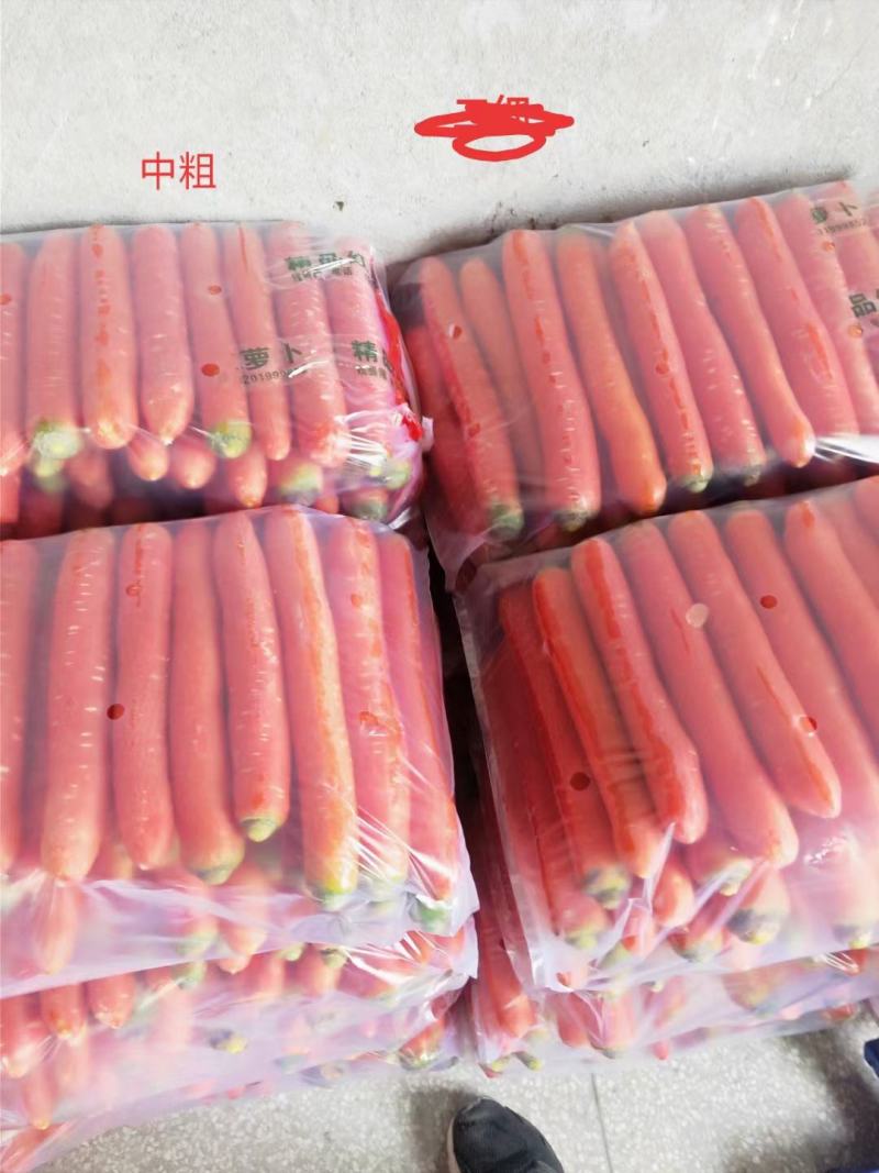 陕西大荔精品称杆红萝卜，条形直，颜色好看产地直发，货源充