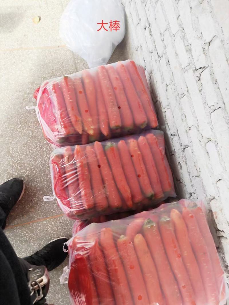 陕西大荔精品称杆红萝卜，条形直，颜色好看产地直发，货源充