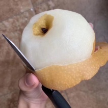 丰水梨