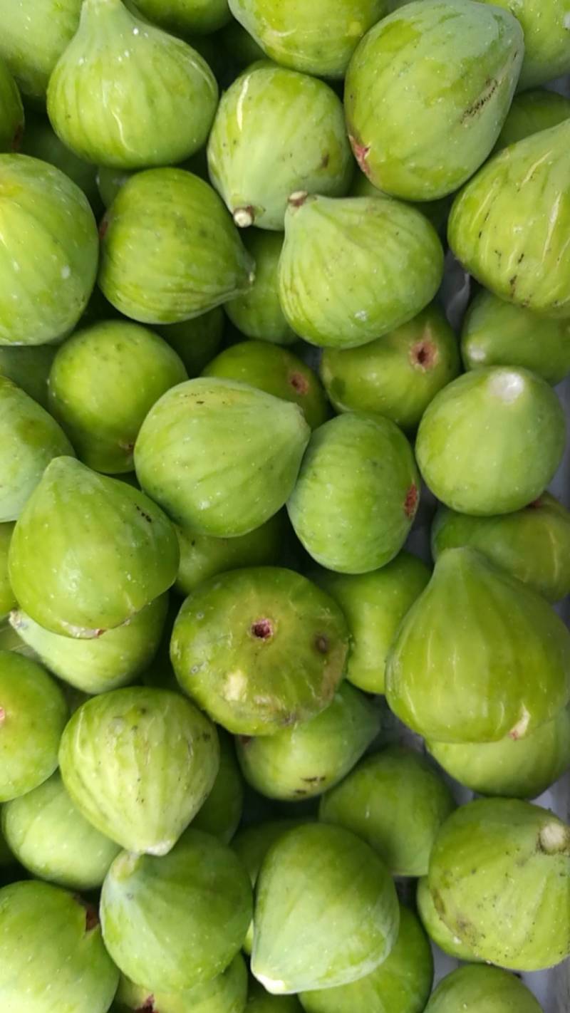 现货新货新鲜无花果干果青皮干脆甜香