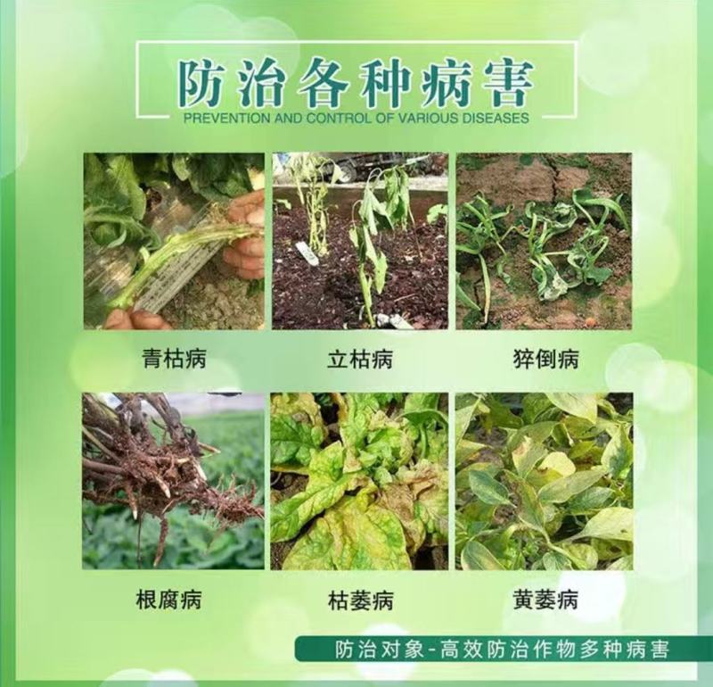 30甲霜噁霉灵叶枯立枯猝倒病枯萎病蔬恶霉灵黄瓜番茄死苗烂