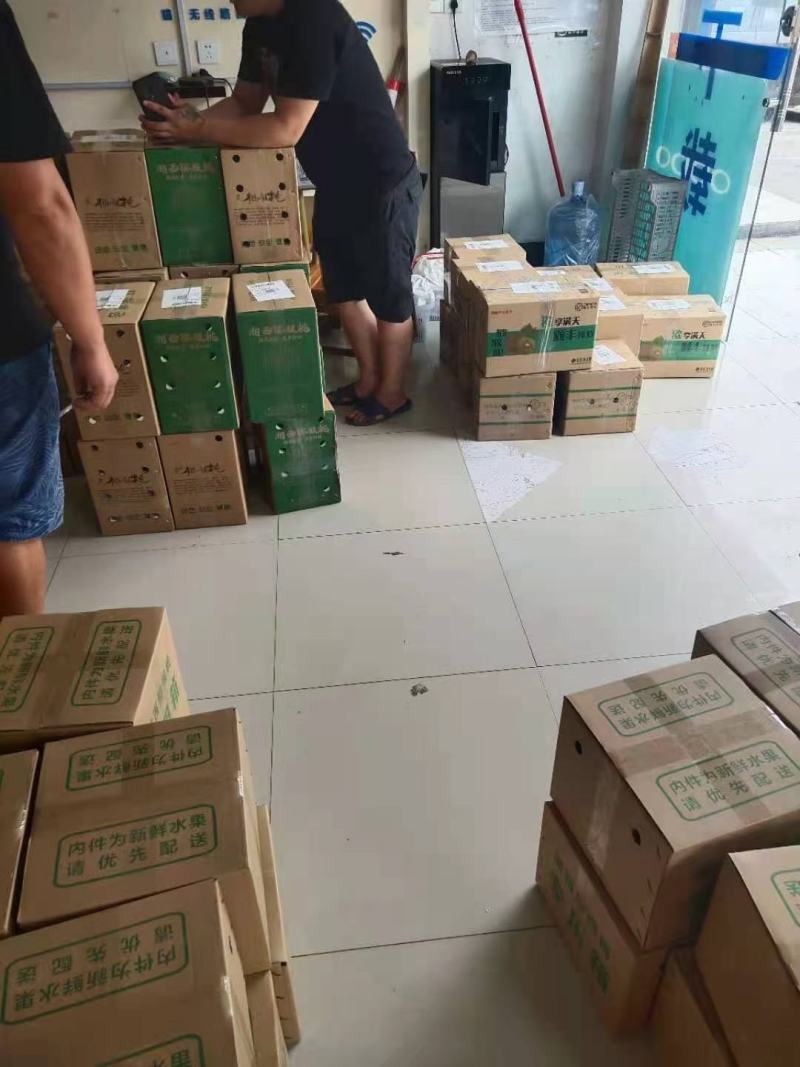 绿心猕猴桃大果猕猴桃万亩基地直销米良一号