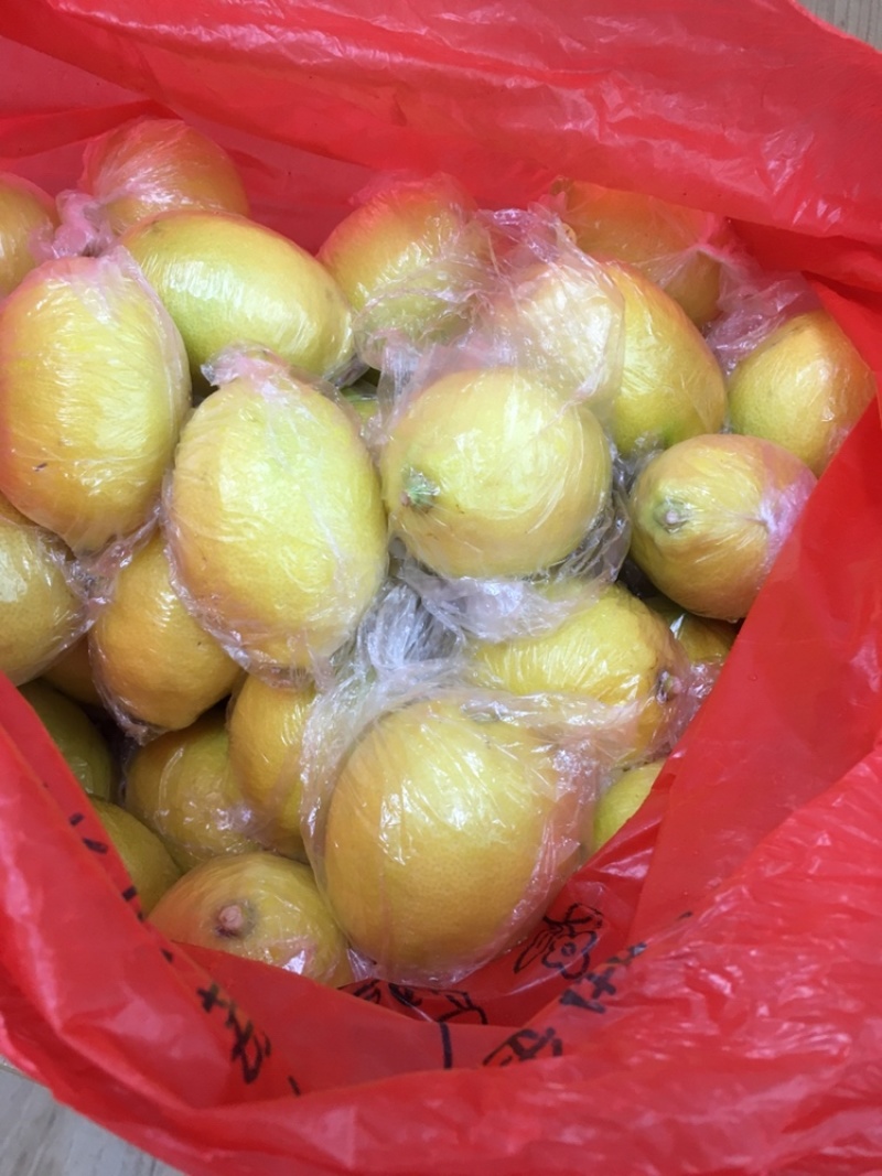 广东基地大量供应黄柠檬