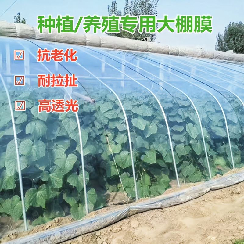 大棚膜农膜塑料薄膜长寿无滴膜po膜EVA消雾膜