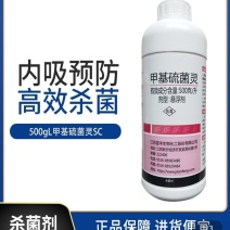 甲基硫菌灵甲托大包装更实惠防治赤霉病轮纹病等广谱通