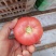 蔬菜