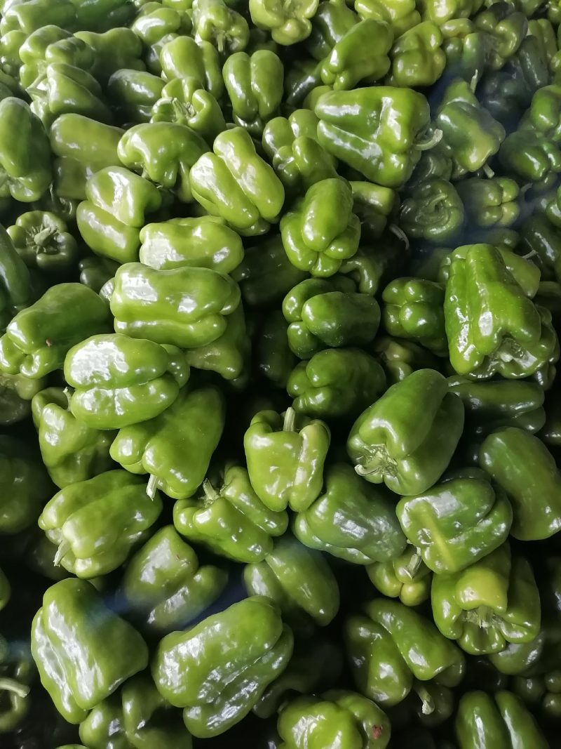 蔬菜